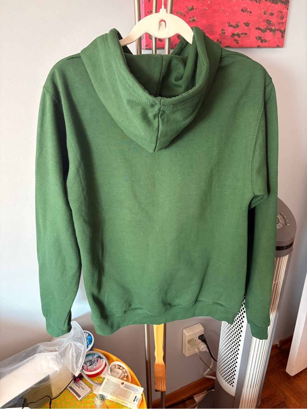 Green Ireland Hoodie Size Small Women’s